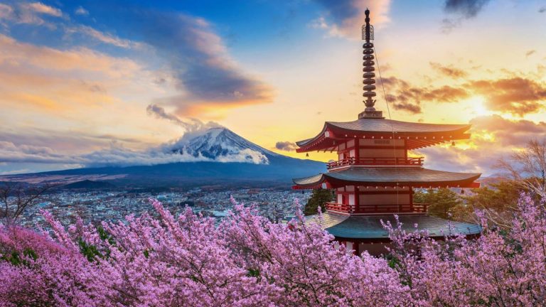 Les bonnes adresses pour un expatrié au Japon